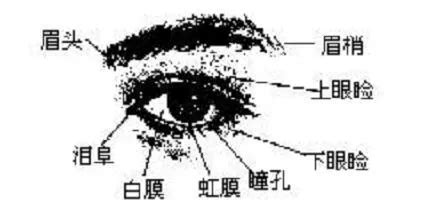 眼瞼痣面相|金自在相面秘訣——眼睛篇